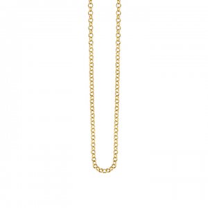 14k Gold Small Rolo Chain