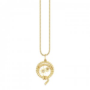 Gold & Diamond Starburst Lasso Charm