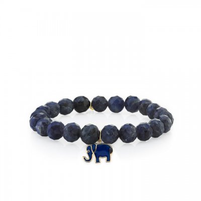 Gold & Enamel Elephant on Iolite