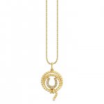 Gold & Diamond Horseshoe Lasso Charm