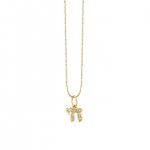 Gold & Diamond Chai Charm