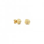 Gold & Diamond Clam Shells Stud