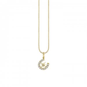 Gold & Diamond Starburst Horseshoe Charm