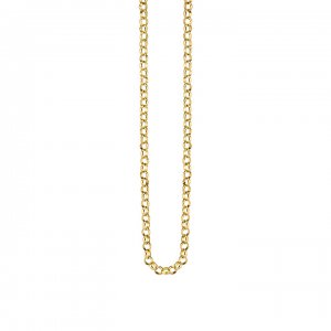 14k Gold Rolo Chain