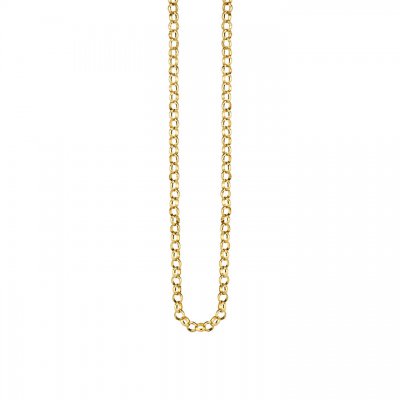 14k Gold Rolo Chain